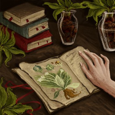 Открытка - Мандрагора №3642