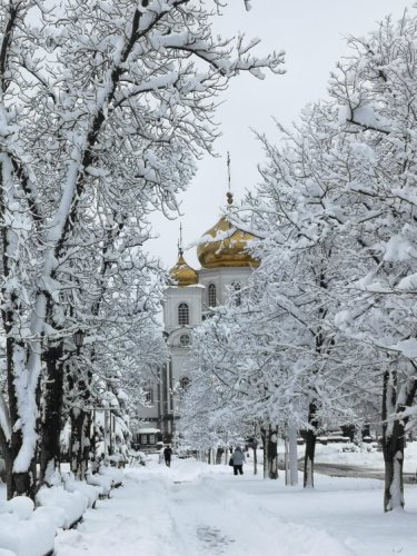 Открытка - Собор Александра Невского №4861