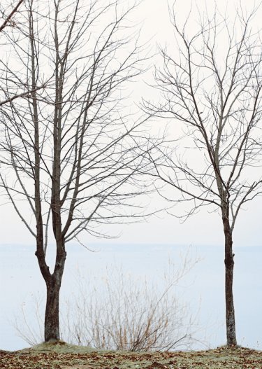 Открытка Cardsi №534