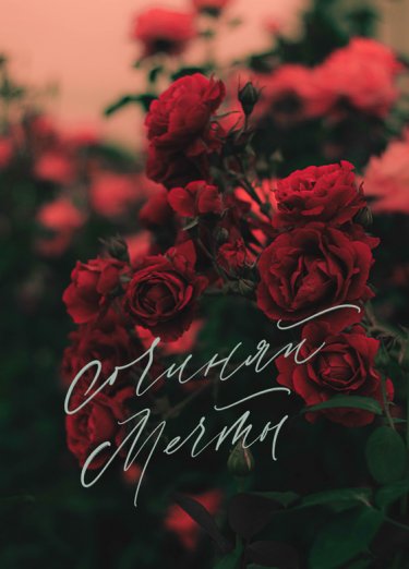 Открытка Cardsi - Сочиняй мечты №2593