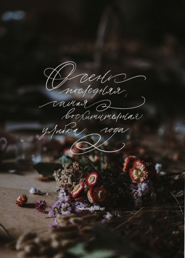 Открытка Cardsi - Улыбка года №2488