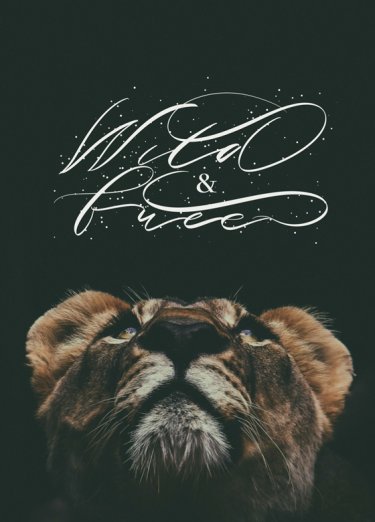 Открытка - Wild and Free №3632